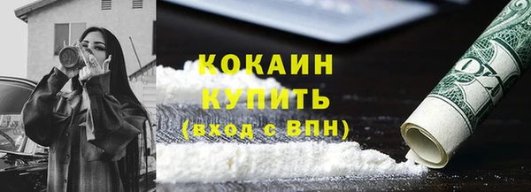 сатива Богданович