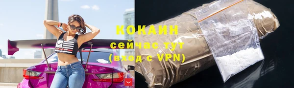 сатива Богданович