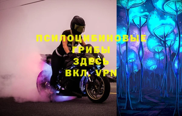 прущие крисы Богородицк