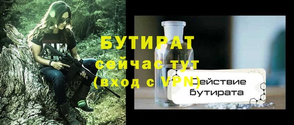 сатива Богданович