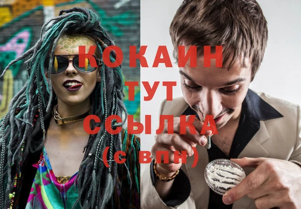 сатива Богданович
