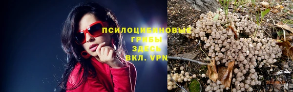 сатива Богданович